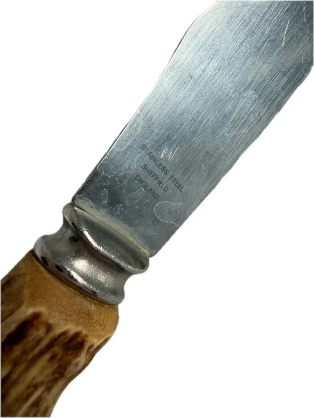 Sheffield set antler